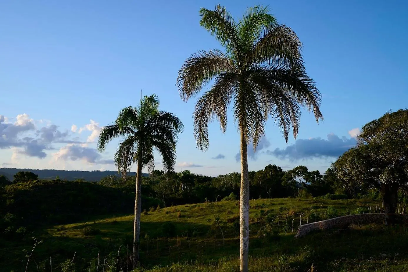 ヴィラ Finca Jasmat カブレラ